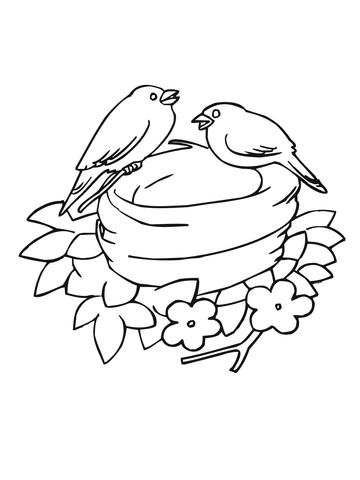 Bluebirds Nesting Coloring Page